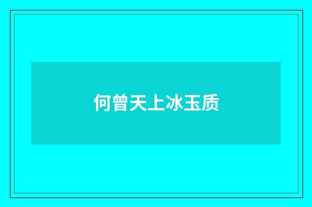何曾天上冰玉质