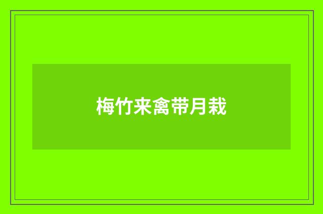 梅竹来禽带月栽
