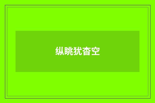 纵眺犹杳空