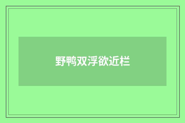 野鸭双浮欲近栏