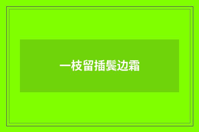 一枝留插鬓边霜