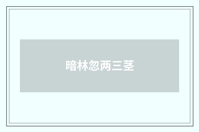 暗林忽两三茎
