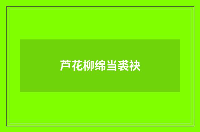 芦花柳绵当裘袂