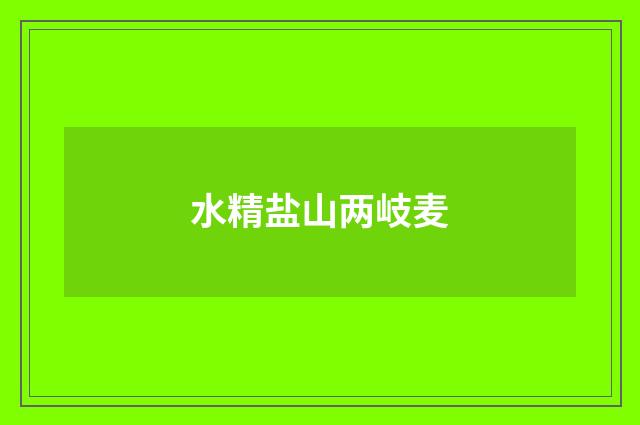 水精盐山两岐麦