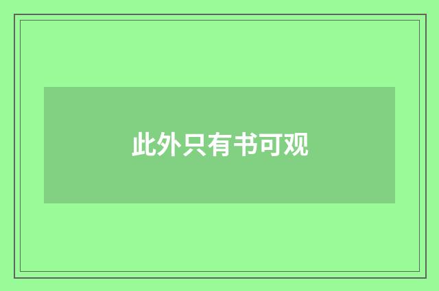 此外只有书可观