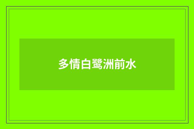 多情白鹭洲前水