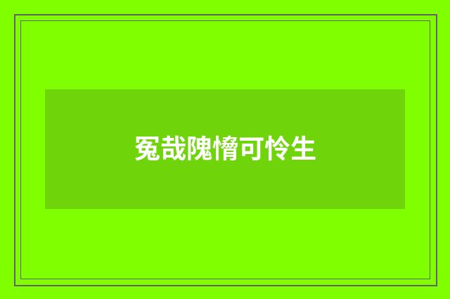 冤哉隗愶可怜生