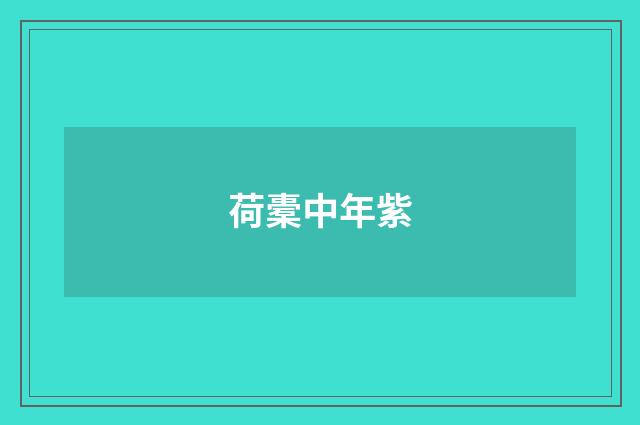 荷橐中年紫