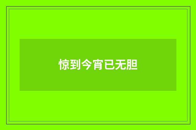 惊到今宵已无胆