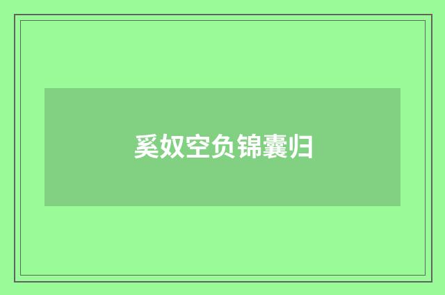 奚奴空负锦囊归