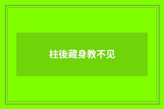 柱後藏身教不见