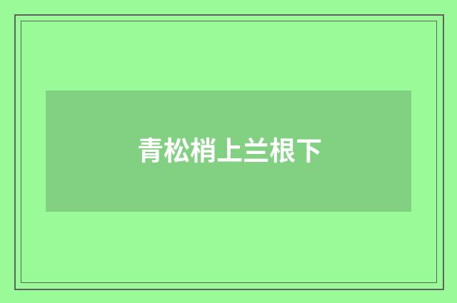 青松梢上兰根下
