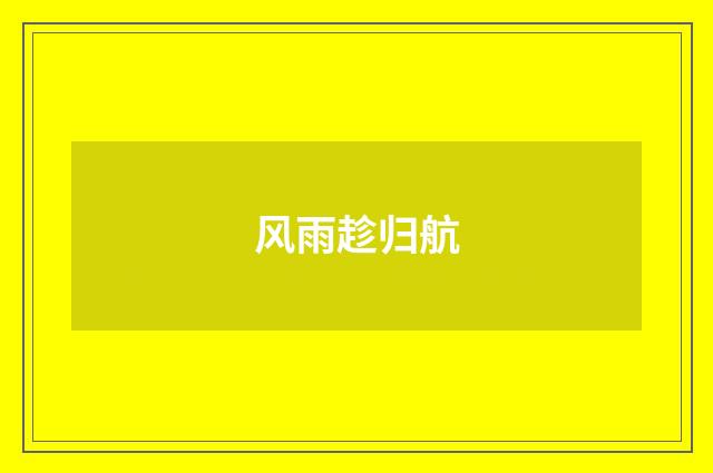 风雨趁归航