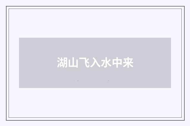 湖山飞入水中来