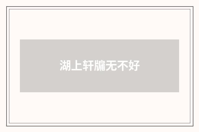 湖上轩牖无不好