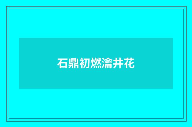 石鼎初燃瀹井花