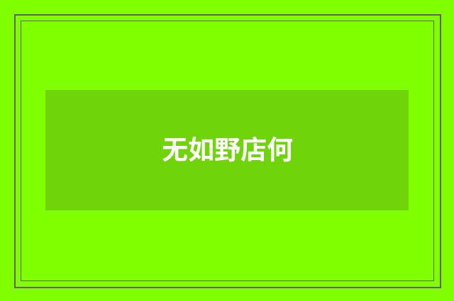 无如野店何