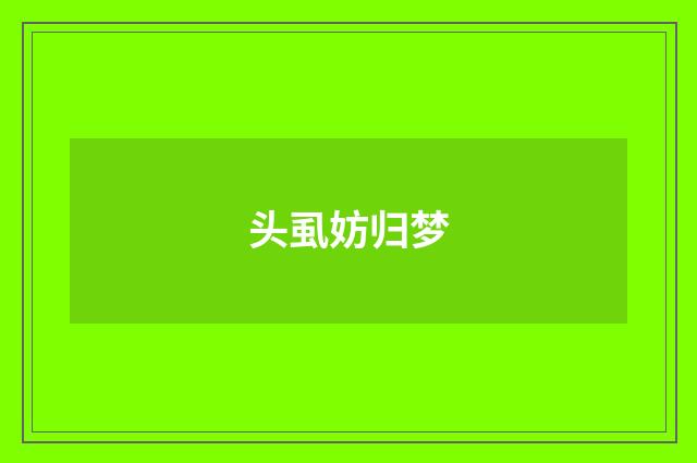 头虱妨归梦