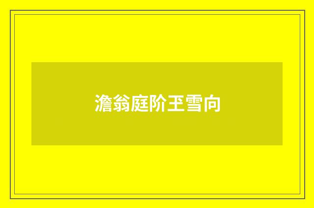 澹翁庭阶玊雪向