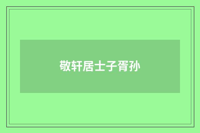 敬轩居士子胥孙