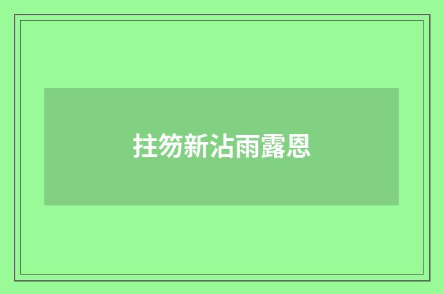拄笏新沾雨露恩
