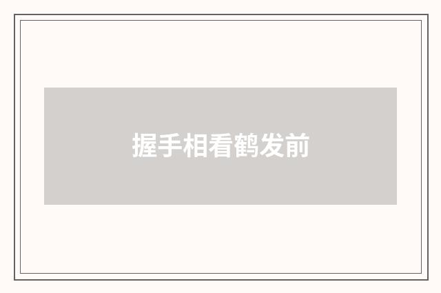 握手相看鹤发前