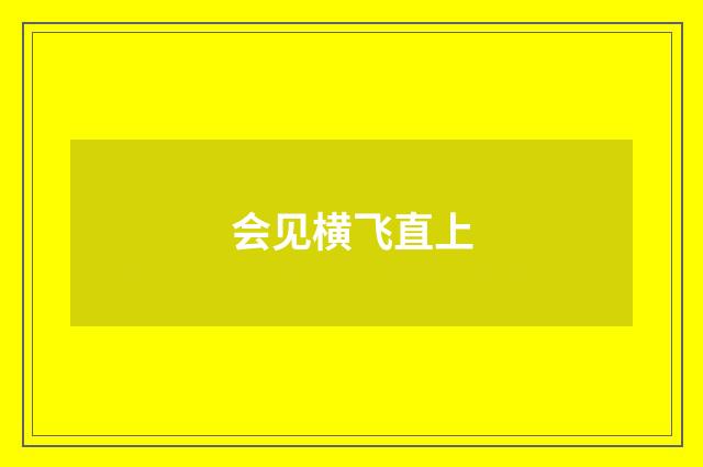 会见横飞直上