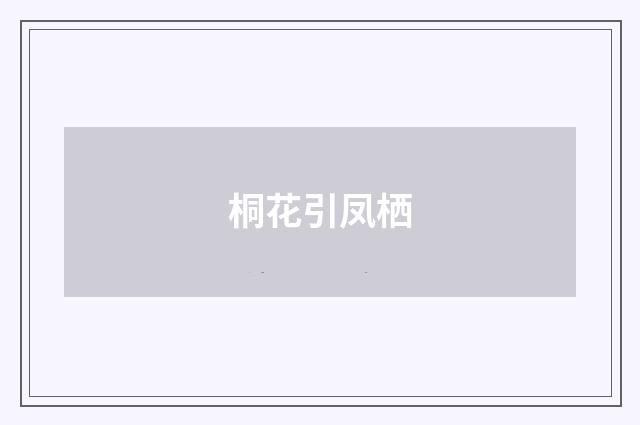 桐花引凤栖