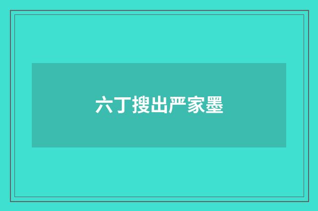 六丁搜出严家墨