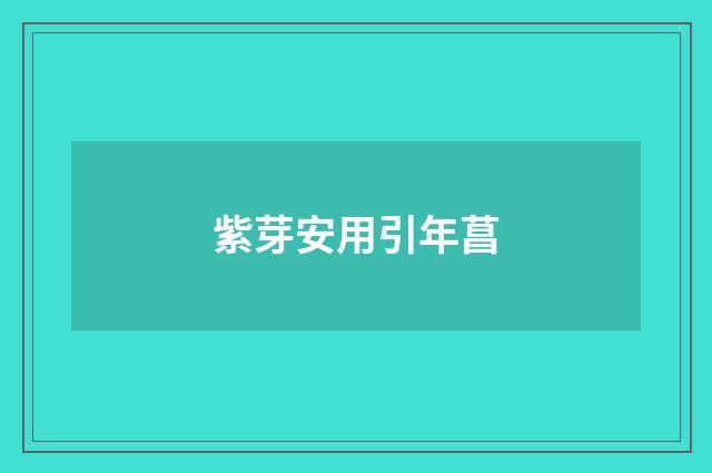 紫芽安用引年菖