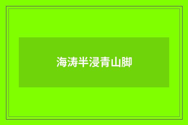 海涛半浸青山脚