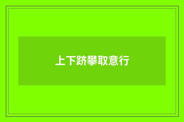 上下跻攀取意行
