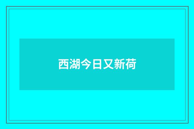 西湖今日又新荷