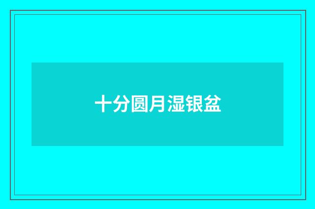 十分圆月湿银盆