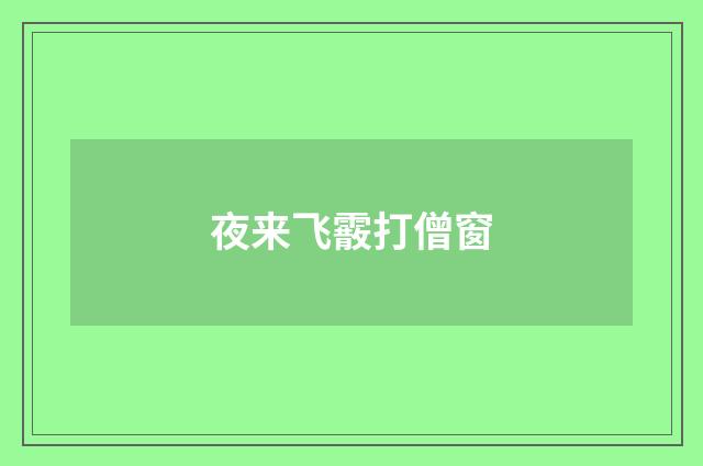 夜来飞霰打僧窗
