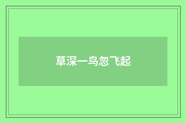 草深一鸟忽飞起