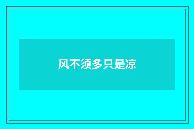 风不须多只是凉