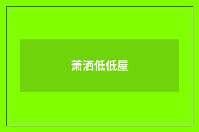 萧洒低低屋