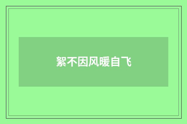 絮不因风暖自飞