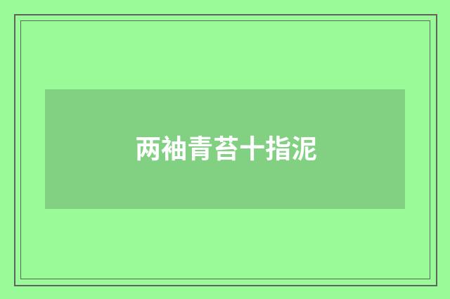 两袖青苔十指泥