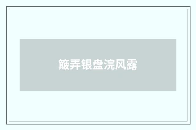 簸弄银盘浣风露