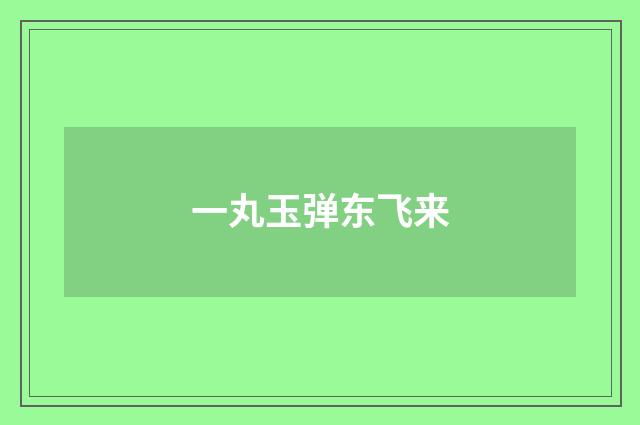 一丸玉弹东飞来