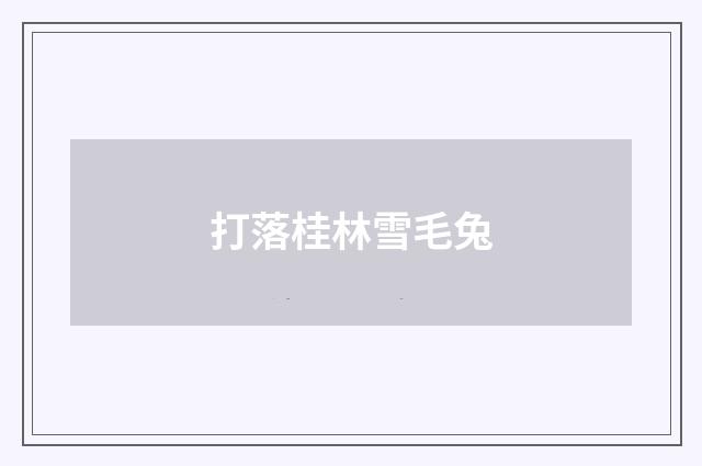 打落桂林雪毛兔