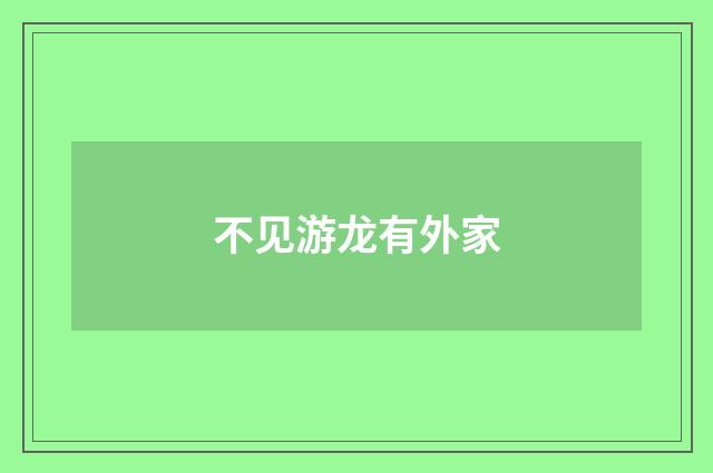 不见游龙有外家