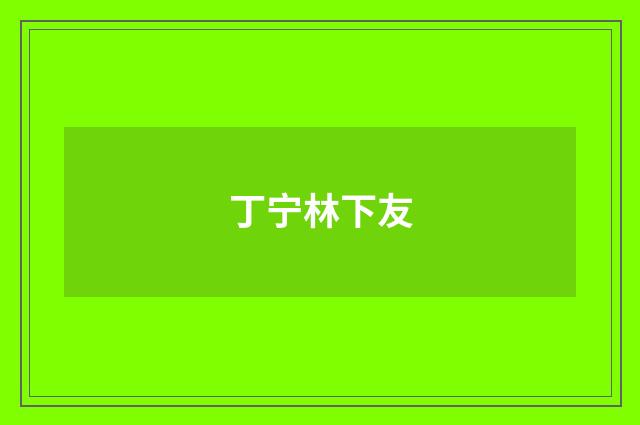 丁宁林下友