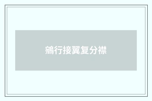 鵷行接翼复分襟