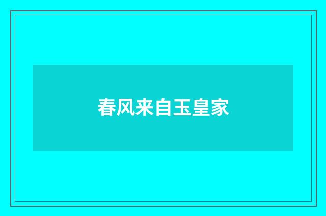 春风来自玉皇家