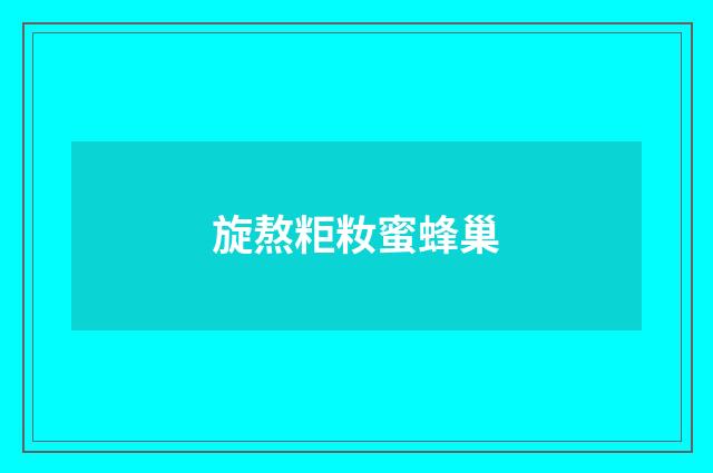 旋熬粔籹蜜蜂巢
