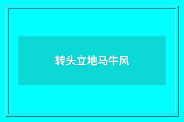 转头立地马牛风