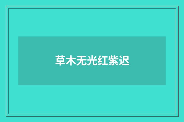 草木无光红紫迟